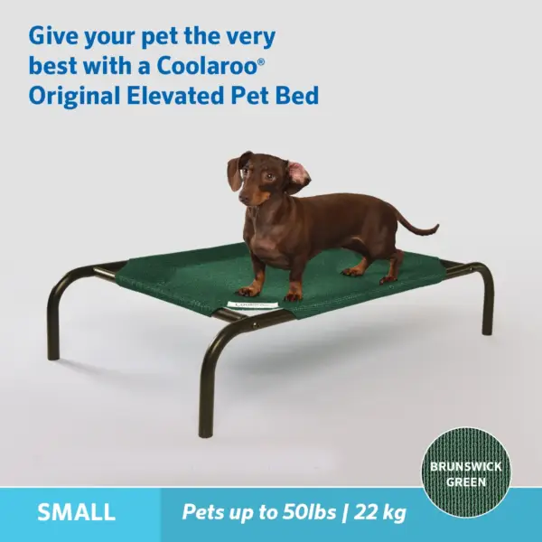 Elevated Pet Bed; Small; Brunswick Green; 6 Pack - Image 3